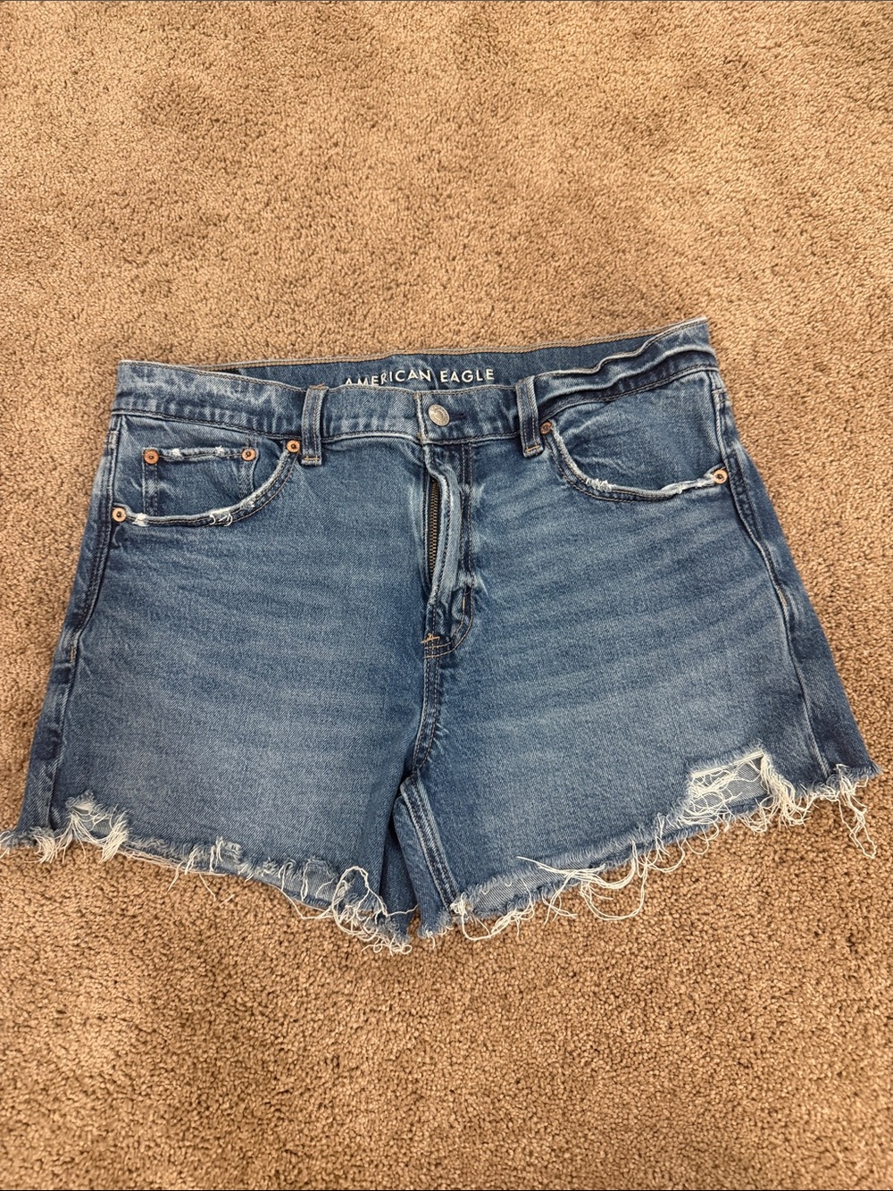 American Eagle Outfitters Raw Hem Blue Denim Shorts